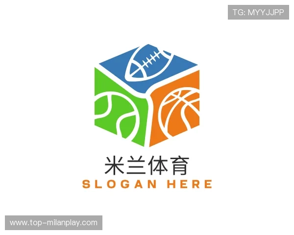 关于米兰体育入口